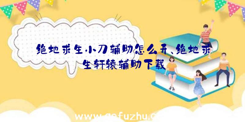 绝地求生小刀辅助怎么开、绝地求生轩辕辅助下载