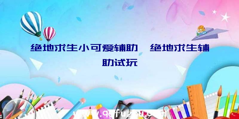 绝地求生小可爱辅助、绝地求生辅助试玩