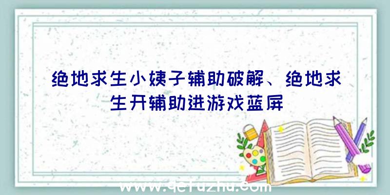 绝地求生小姨子辅助破解、绝地求生开辅助进游戏蓝屏