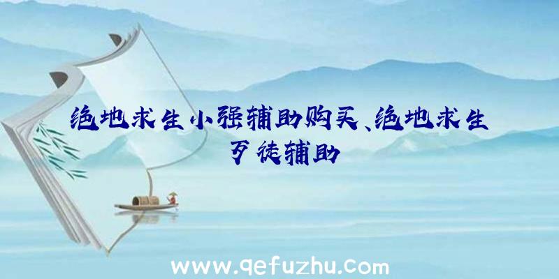 绝地求生小强辅助购买、绝地求生歹徒辅助