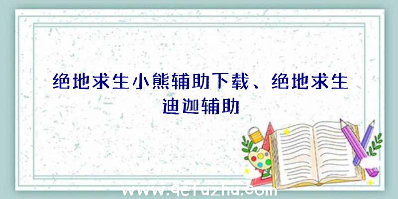 绝地求生小熊辅助下载、绝地求生迪迦辅助