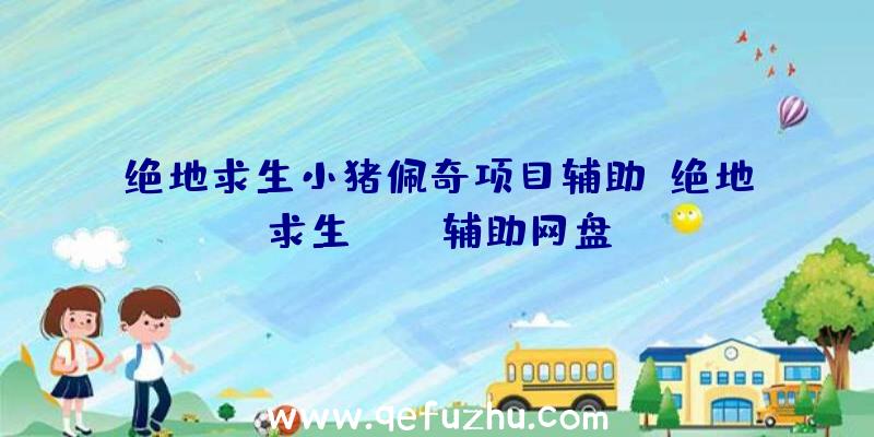 绝地求生小猪佩奇项目辅助、绝地求生pubg辅助网盘