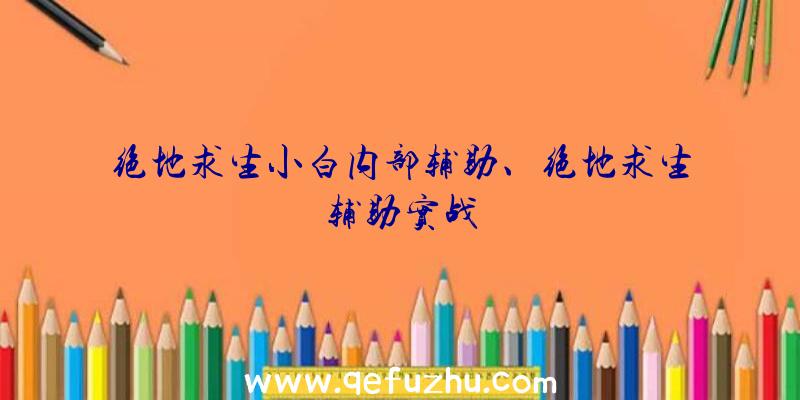 绝地求生小白内部辅助、绝地求生辅助实战