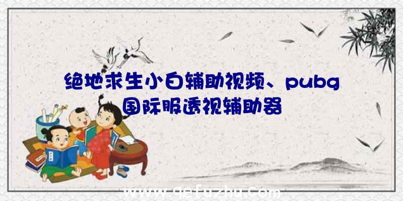 绝地求生小白辅助视频、pubg国际服透视辅助器