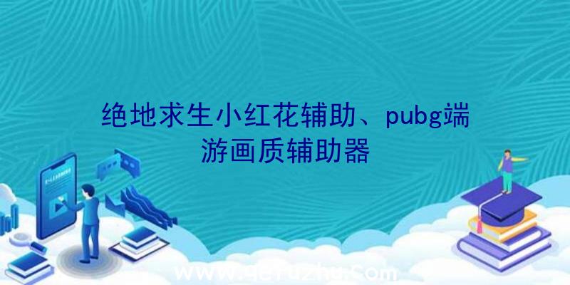 绝地求生小红花辅助、pubg端游画质辅助器