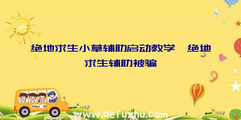 绝地求生小草辅助启动教学、绝地求生辅助被骗