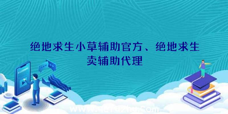 绝地求生小草辅助官方、绝地求生卖辅助代理