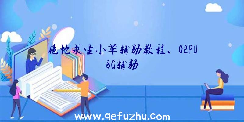 绝地求生小草辅助教程、02PUBG辅助