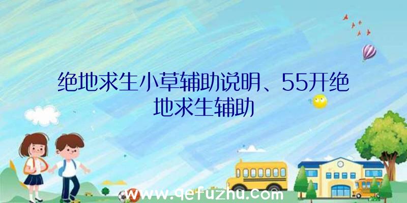 绝地求生小草辅助说明、55开绝地求生辅助