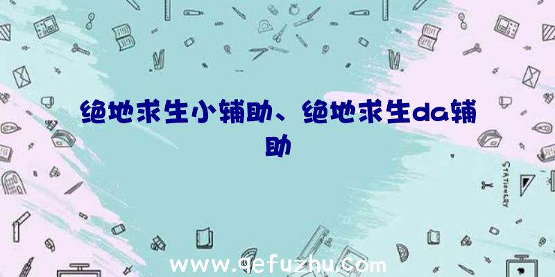 绝地求生小辅助、绝地求生da辅助