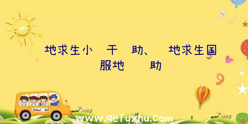 绝地求生小鱼干辅助、绝地求生国际服地铁辅助