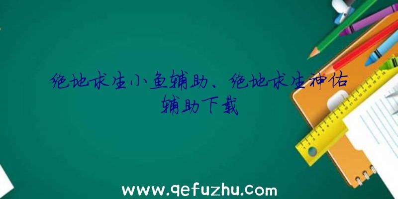 绝地求生小鱼辅助、绝地求生神佑辅助下载