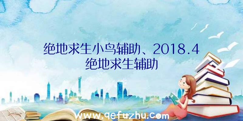 绝地求生小鸟辅助、2018.4绝地求生辅助