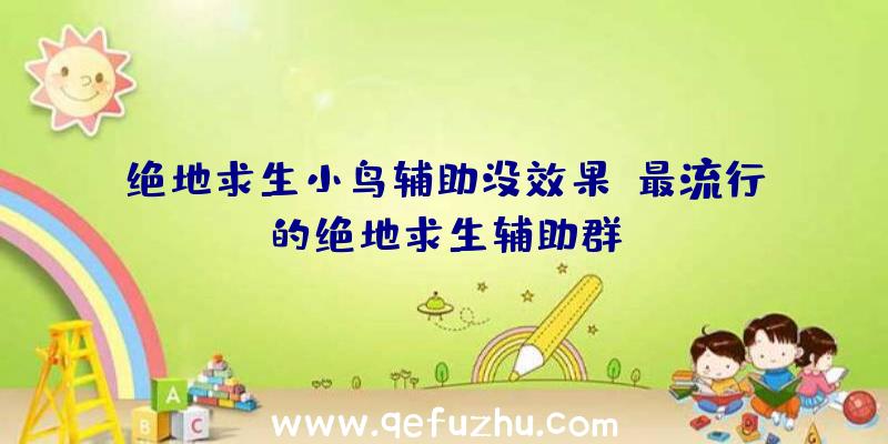 绝地求生小鸟辅助没效果、最流行的绝地求生辅助群