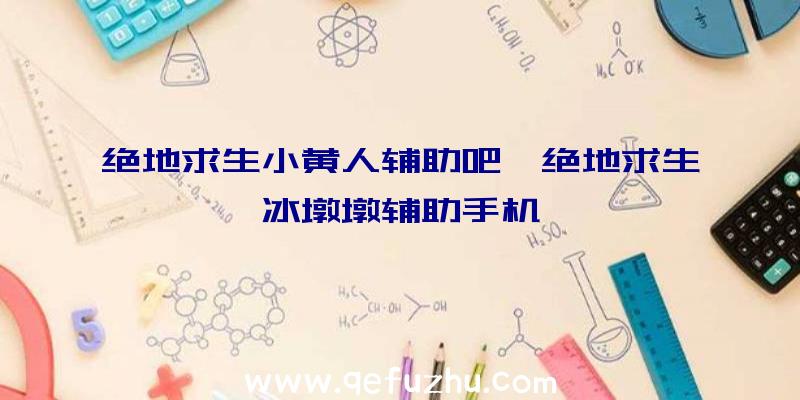 绝地求生小黄人辅助吧、绝地求生冰墩墩辅助手机