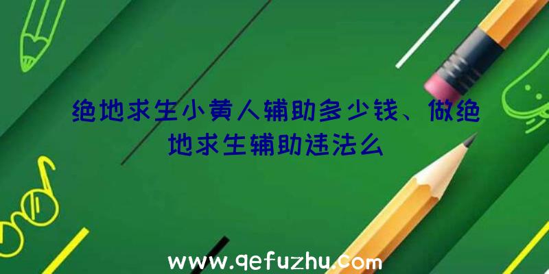 绝地求生小黄人辅助多少钱、做绝地求生辅助违法么