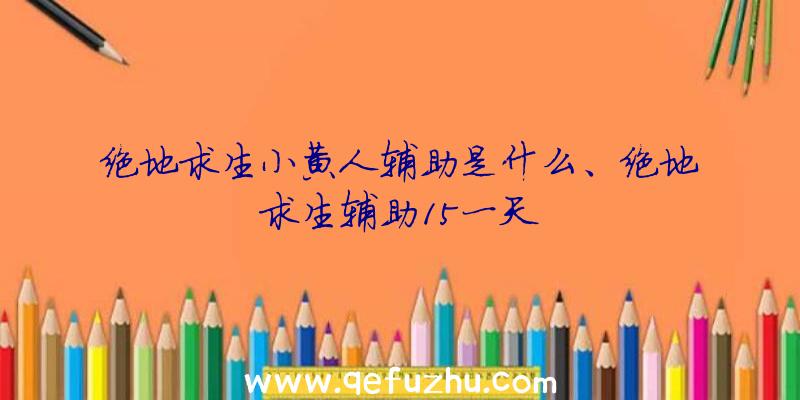 绝地求生小黄人辅助是什么、绝地求生辅助15一天