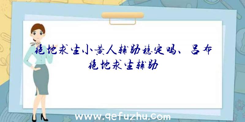 绝地求生小黄人辅助稳定吗、吕布绝地求生辅助