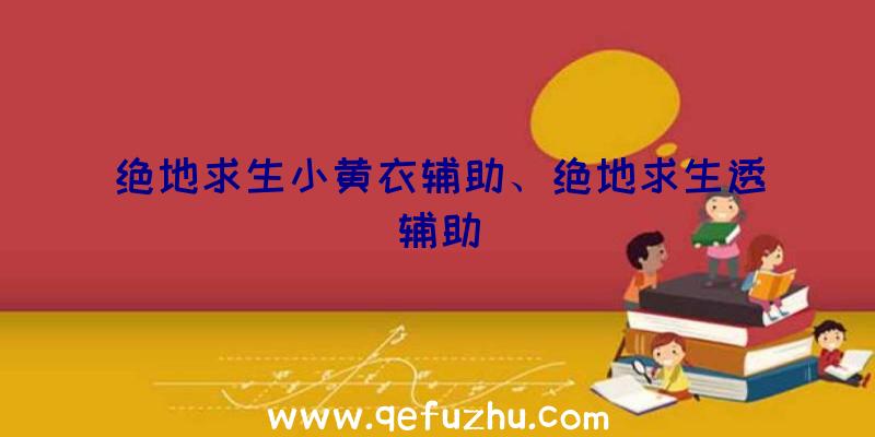 绝地求生小黄衣辅助、绝地求生透辅助