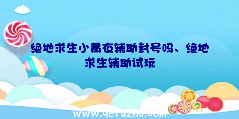 绝地求生小黄衣辅助封号吗、绝地求生辅助试玩