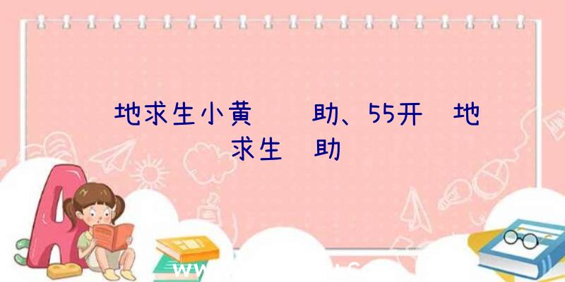 绝地求生小黄鸭辅助、55开绝地求生辅助