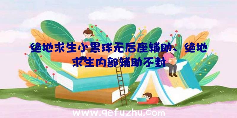 绝地求生小黑球无后座辅助、绝地求生内部辅助不封