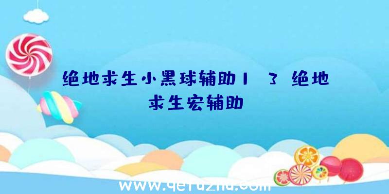 绝地求生小黑球辅助1.3、绝地求生宏辅助