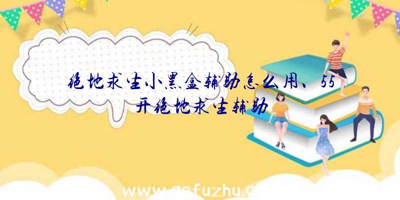 绝地求生小黑盒辅助怎么用、55开绝地求生辅助