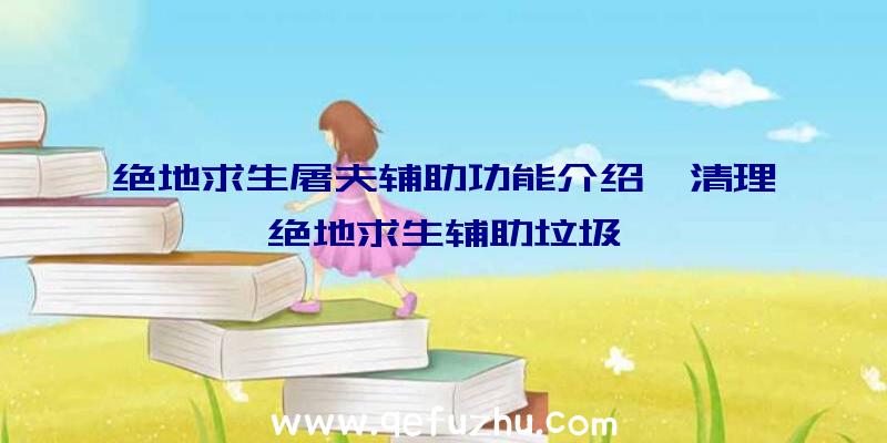 绝地求生屠夫辅助功能介绍、清理绝地求生辅助垃圾