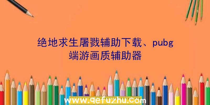 绝地求生屠戮辅助下载、pubg端游画质辅助器