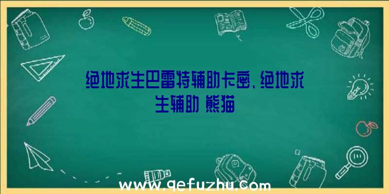 绝地求生巴雷特辅助卡密、绝地求生辅助