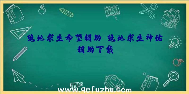 绝地求生希望辅助、绝地求生神佑辅助下载