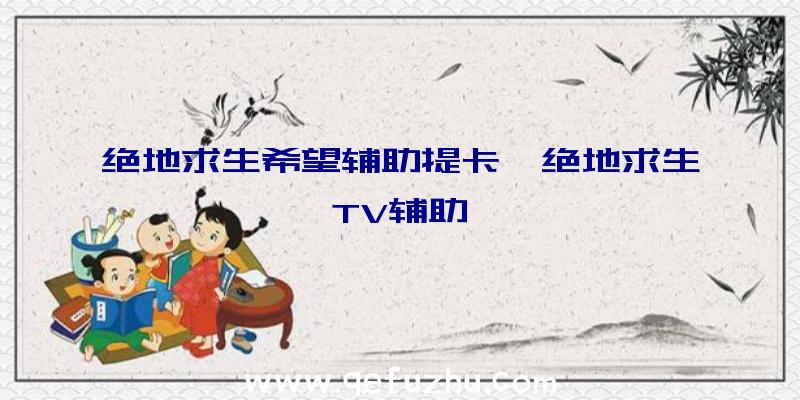 绝地求生希望辅助提卡、绝地求生TV辅助