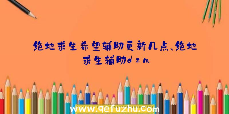 绝地求生希望辅助更新几点、绝地求生辅助dzm