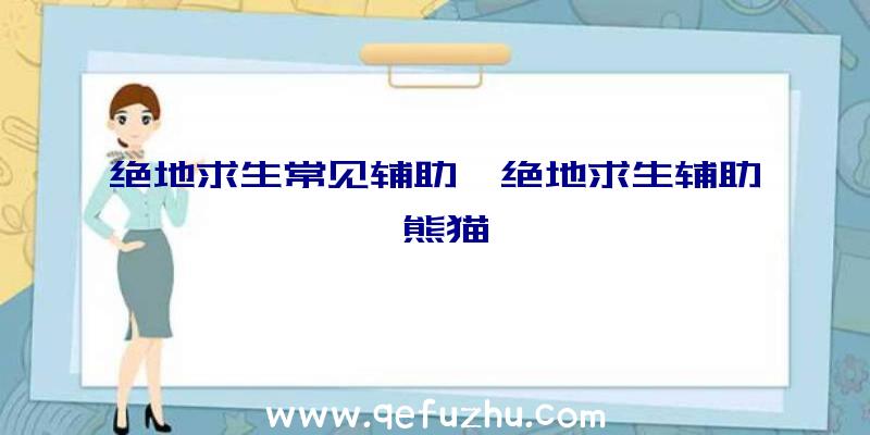 绝地求生常见辅助、绝地求生辅助