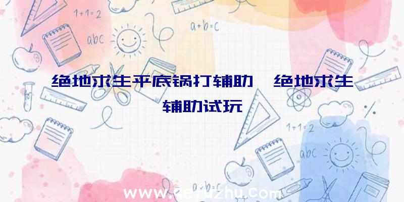 绝地求生平底锅打辅助、绝地求生辅助试玩