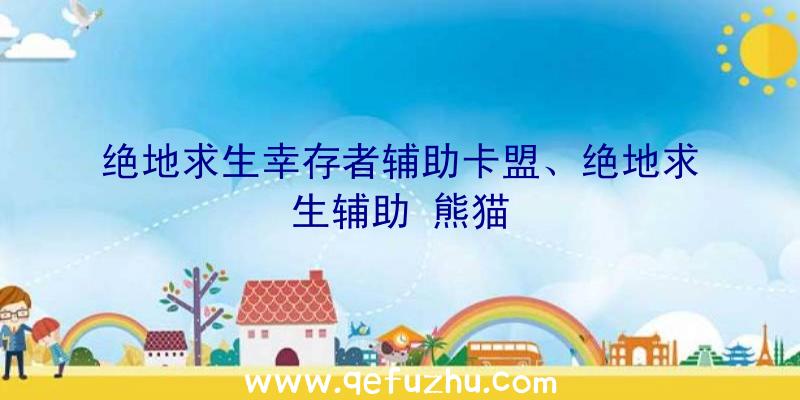 绝地求生幸存者辅助卡盟、绝地求生辅助