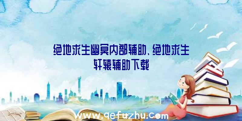 绝地求生幽冥内部辅助、绝地求生轩辕辅助下载