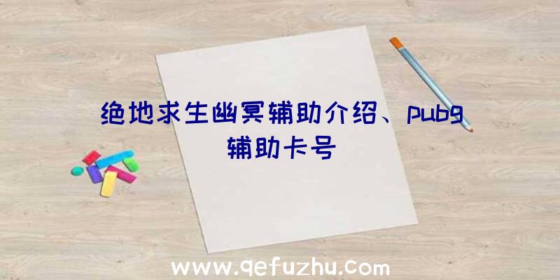 绝地求生幽冥辅助介绍、pubg辅助卡号