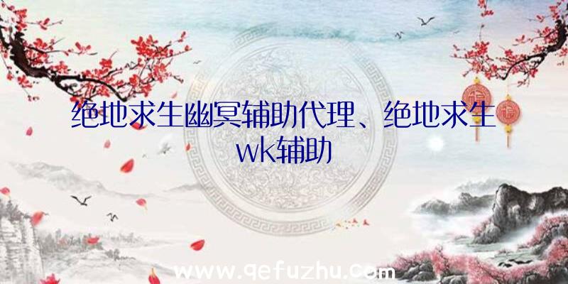 绝地求生幽冥辅助代理、绝地求生wk辅助