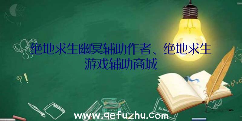 绝地求生幽冥辅助作者、绝地求生游戏辅助商城