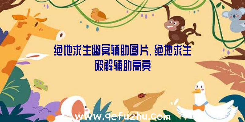 绝地求生幽冥辅助图片、绝地求生破解辅助高亮