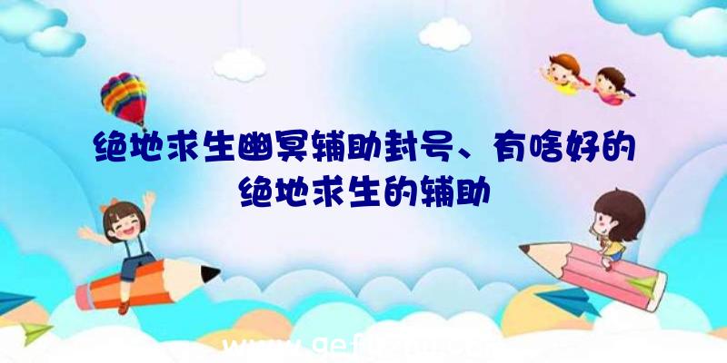 绝地求生幽冥辅助封号、有啥好的绝地求生的辅助