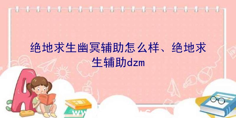 绝地求生幽冥辅助怎么样、绝地求生辅助dzm