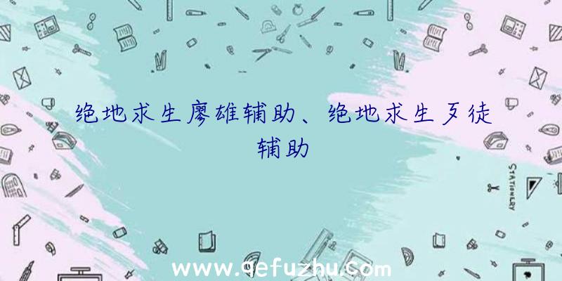 绝地求生廖雄辅助、绝地求生歹徒辅助