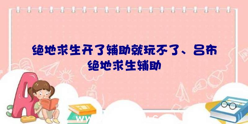 绝地求生开了辅助就玩不了、吕布绝地求生辅助