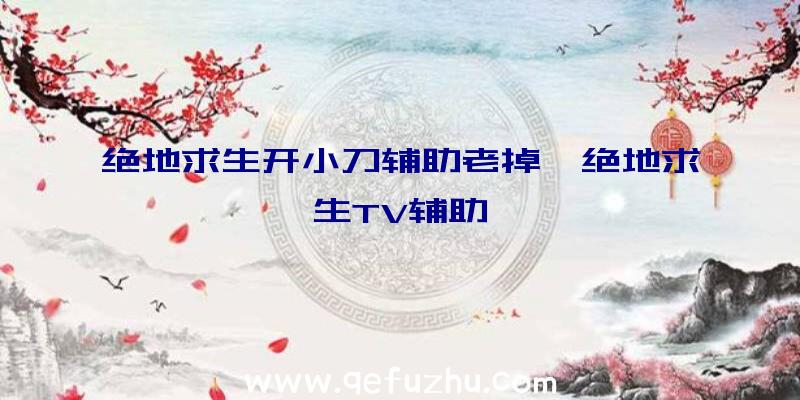 绝地求生开小刀辅助老掉、绝地求生TV辅助