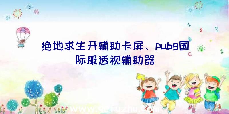 绝地求生开辅助卡屏、pubg国际服透视辅助器