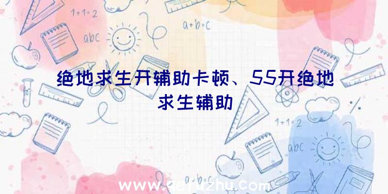 绝地求生开辅助卡顿、55开绝地求生辅助