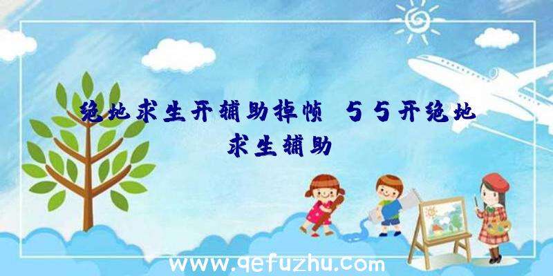 绝地求生开辅助掉帧、55开绝地求生辅助